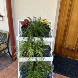 Aventurin House Révfülöp - Külső kép