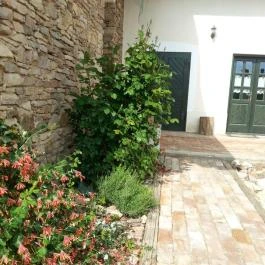 Cselling 2 Vendégház Révfülöp - Külső kép