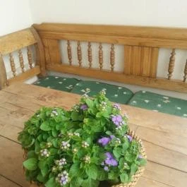 Cselling 2 Vendégház Révfülöp - Egyéb