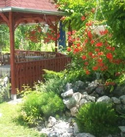 Forró Fogadó étterme