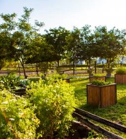 Homoki Lodge Nature Quest Resort