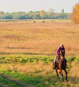 Homoki Lodge Nature Quest Resort