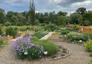 Salföldi Major Salföld