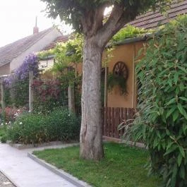 Erzsébet Ház Sármellék - Medence/kert