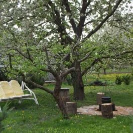 Erzsébet Ház Sármellék - Medence/kert