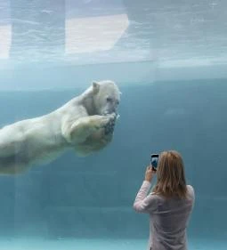 Sóstó Zoo - Nyíregyházi Állatpark