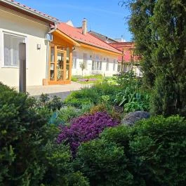 Kert Panzió Sárospatak - Külső kép