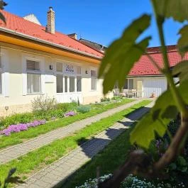 Kert Panzió Sárospatak - Külső kép