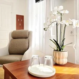 Kert Panzió Sárospatak - Szobák