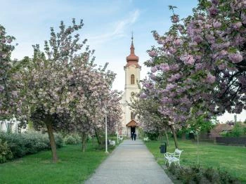 Sárospataki Görögkatolikus Templom Sárospatak
