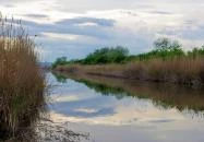 Sarród - Fertő–Hanság Nemzeti Park