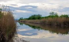 Fertő–Hanság Nemzeti Park