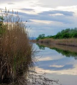 Fertő–Hanság Nemzeti Park