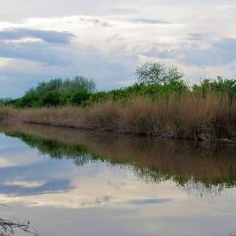 Fertő–Hanság Nemzeti Park Sarród - Egyéb