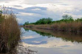 Fertő–Hanság Nemzeti Park Sarród