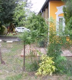 Négy Gólya Apartman