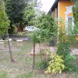 Négy Gólya Apartman Sarud - Külső kép