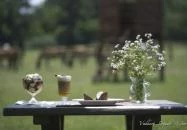 Vadkert Étterem Sárvár