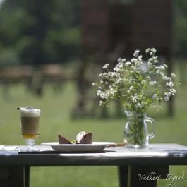 Vadkert Étterem Sárvár - Egyéb