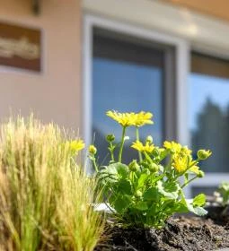 Atmoszféra Apartman