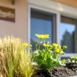 Atmoszféra Apartman Sárvár - Külső kép