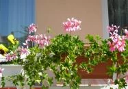 Atmoszféra Apartman Sárvár