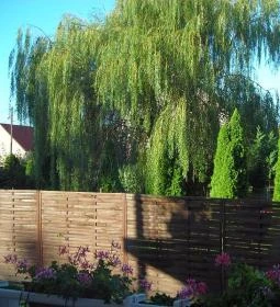 Atmoszféra Apartman