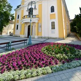 Club Luxury Apartman Sárvár - Egyéb