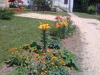 Dudi Mama Kuckója Sárvár