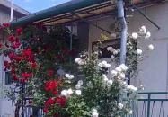 Dudi Mama Kuckója Sárvár