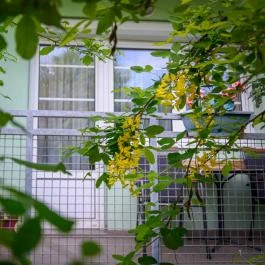 Erika Apartman Sárvár - Medence/kert