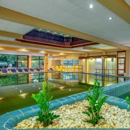 Ensana Thermal Sárvár Sárvár - 