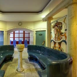 Ensana Thermal Sárvár Sárvár - Wellness