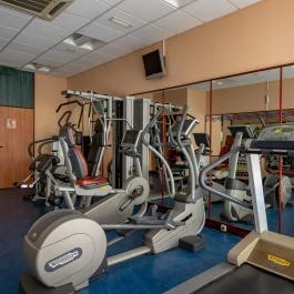 Ensana Thermal Sárvár Sárvár - Wellness