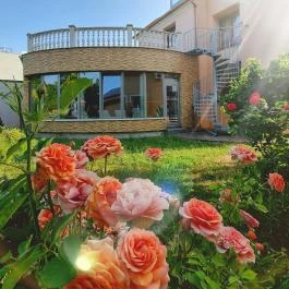 Hotel Viktória Sárvár - Medence/kert