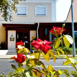 Platán Hotel Sárvár Sárvár - Egyéb