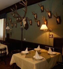 Platán Hotel Sárvár