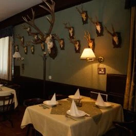 Platán Hotel Sárvár Sárvár - Vendéglátás