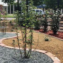 Harmónia Termál Hotel Sárvár - Egyéb