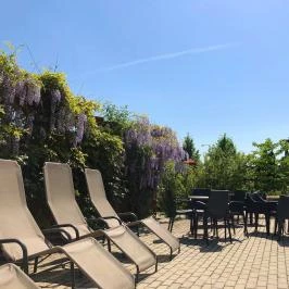 Harmónia Termál Hotel Sárvár - Egyéb