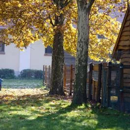 Vadkert Major Sárvár - Medence/kert