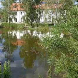 Vadkert Major Sárvár - Medence/kert