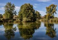 Sárvár - Sárvári Arborétum