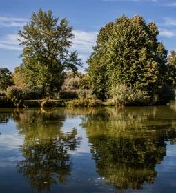 1. legjobb látnivaló: Sárvári Arborétum