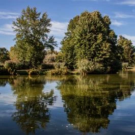 Sárvári Arborétum Sárvár - Egyéb