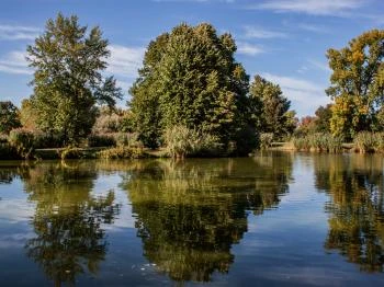 Sárvári Arborétum Sárvár