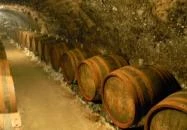 Bodnár Pincészet Sátoraljaújhely