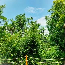 Hunor Vendégház Sátoraljaújhely - Külső kép