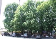 Vasúti vendéglő Siklós