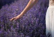 Siklós - Máriagyűdi Levendulás Ház